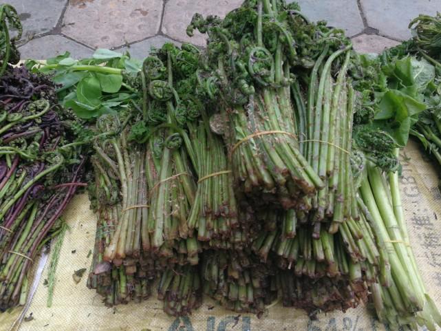 吉林盛事,嘉宾云集,观众热情如火