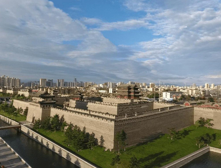 大同，友情、家庭与爱的温馨日常故事