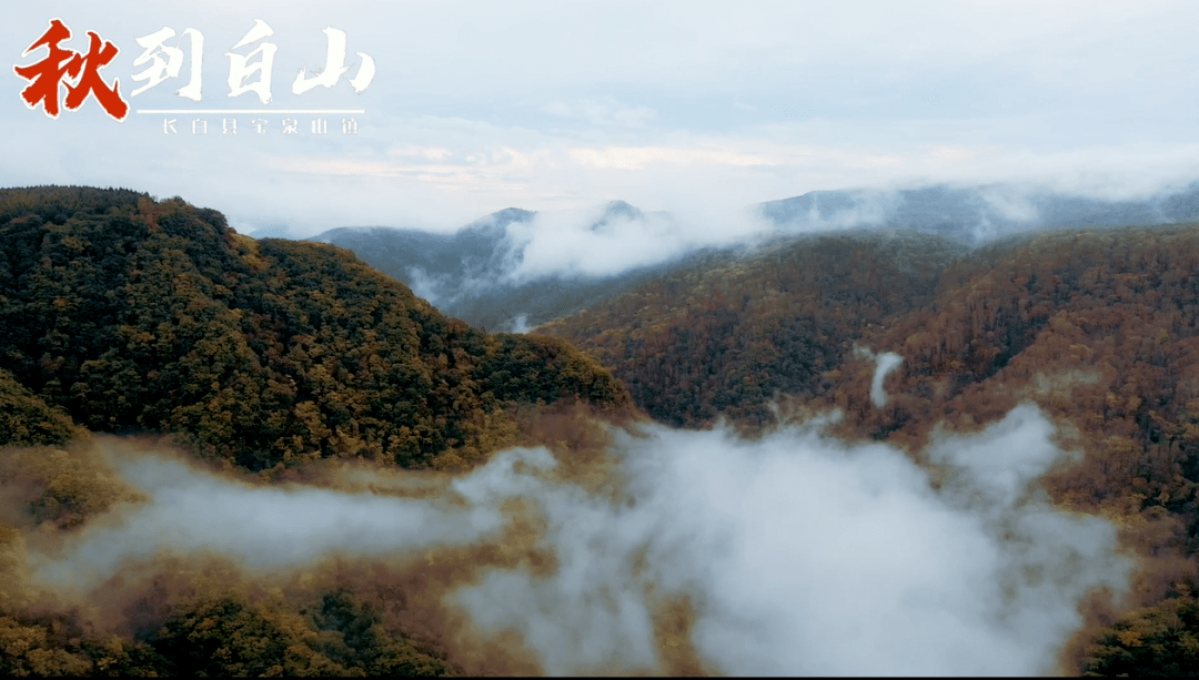 白山的温馨日常风采